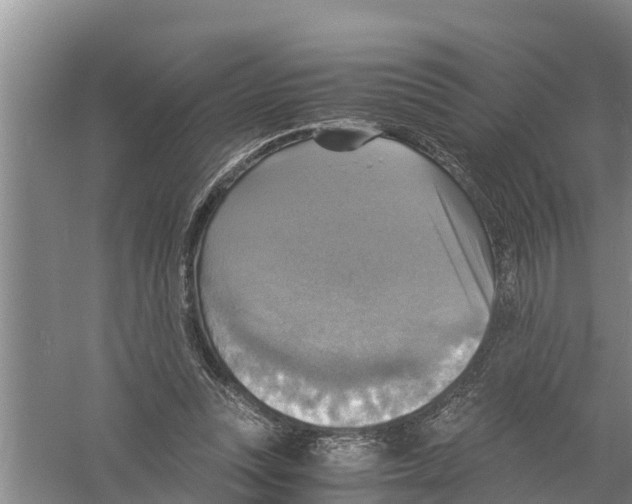 X0000058780351200510282017