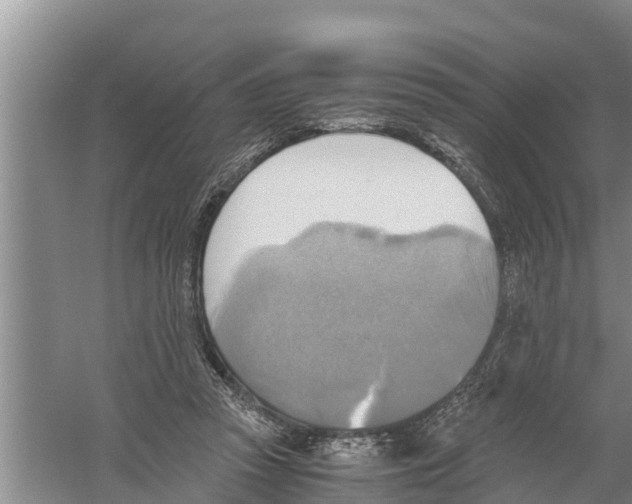 X0000058780353200510282017