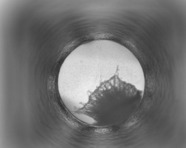 X0000058780357200510282017