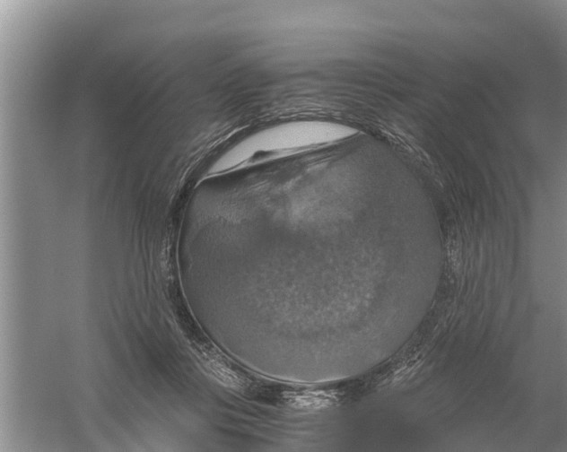 X0000058780359200510282017