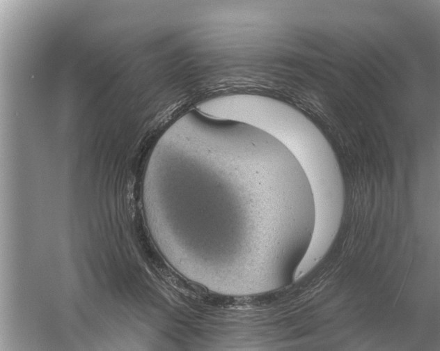 X0000058780360200510282017