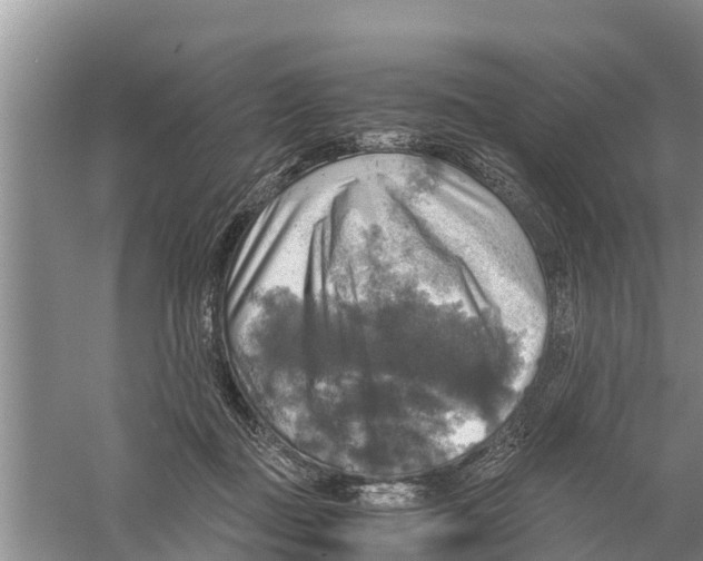 X0000058780363200510282017