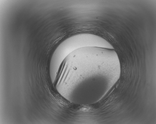 X0000058780364200510282017