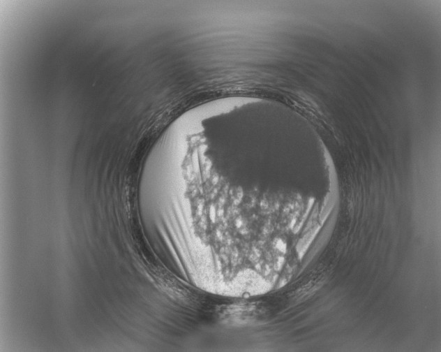 X0000058780366200510282017