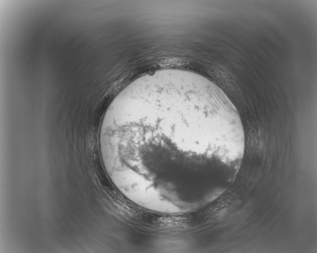 X0000058780367200510282017