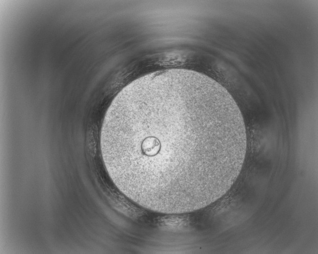 X0000058780370200510282017