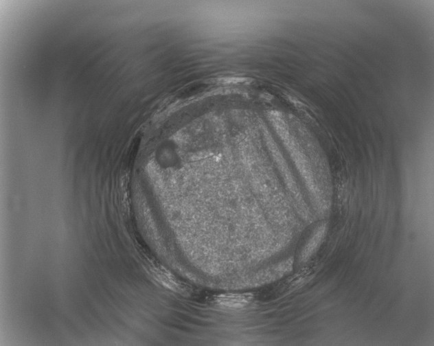 X0000058780373200510282017