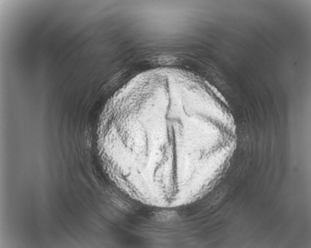 X0000058780374200510282017