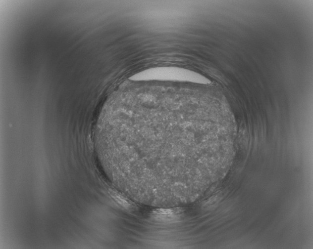 X0000058780381200510282017