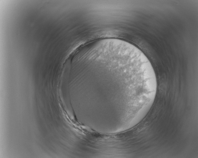 X0000058780386200510282016