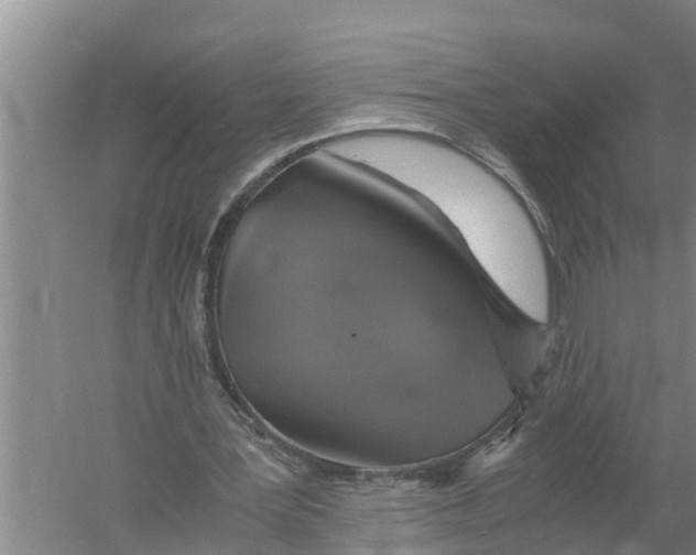 X0000058780387200510282016