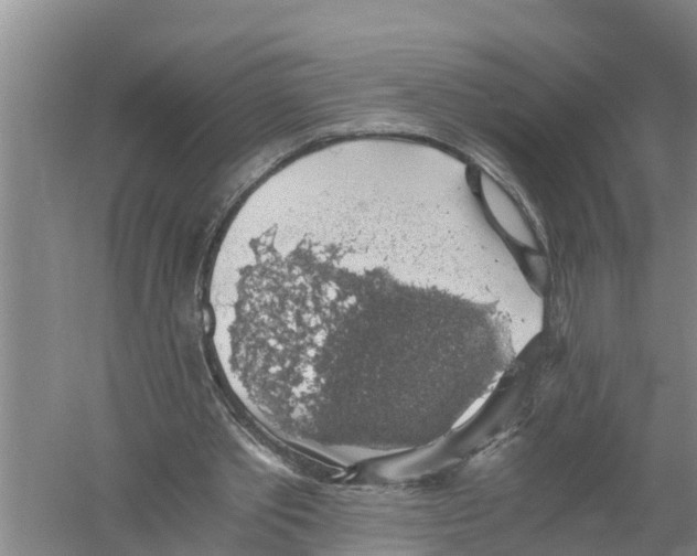 X0000058780389200510282016