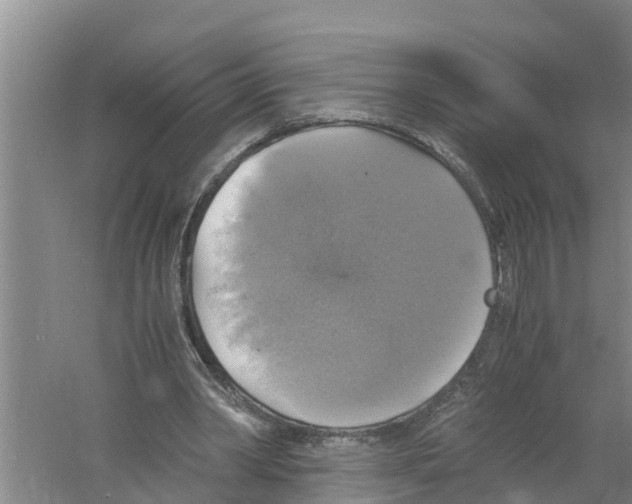 X0000058780390200510282016