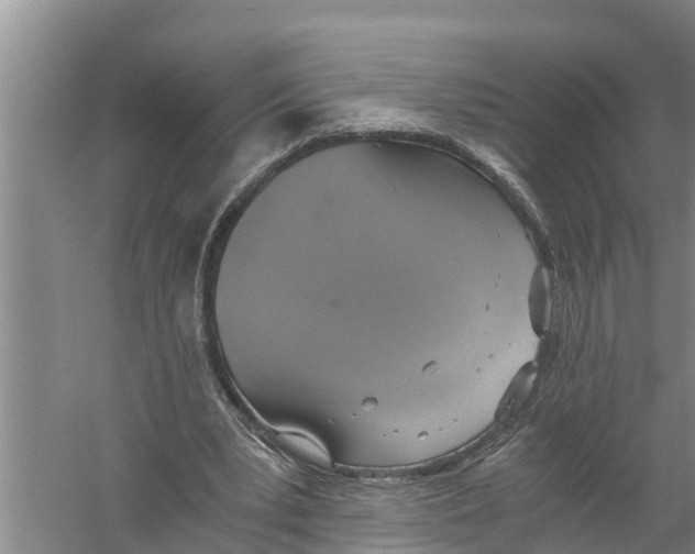 X0000058780391200510282016