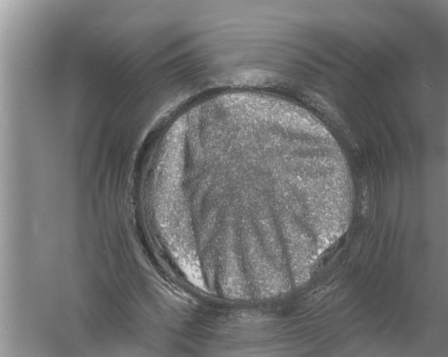 X0000058780392200510282016