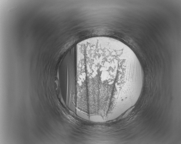 X0000058780393200510282016