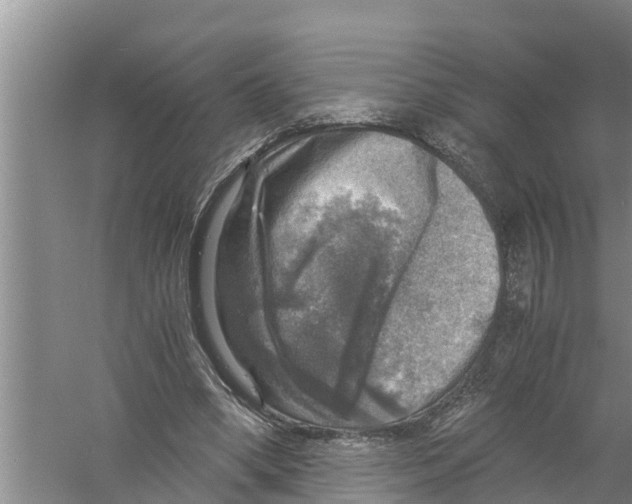 X0000058780394200510282016