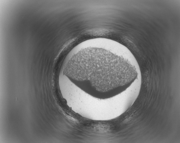 X0000058780400200510282016