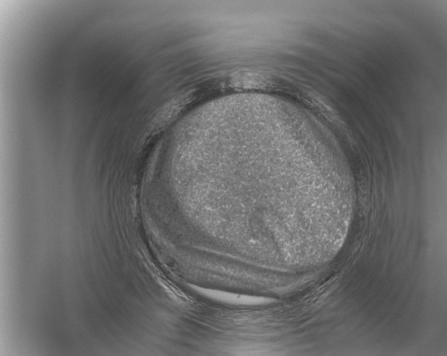 X0000058780401200510282016