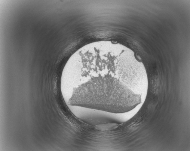 X0000058780404200510282016