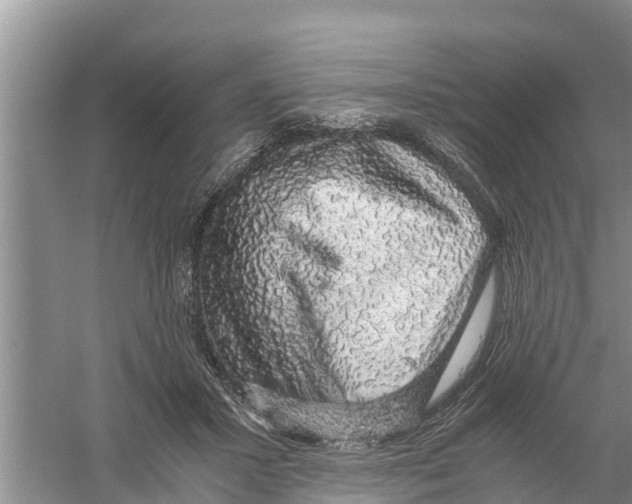 X0000058780407200510282016