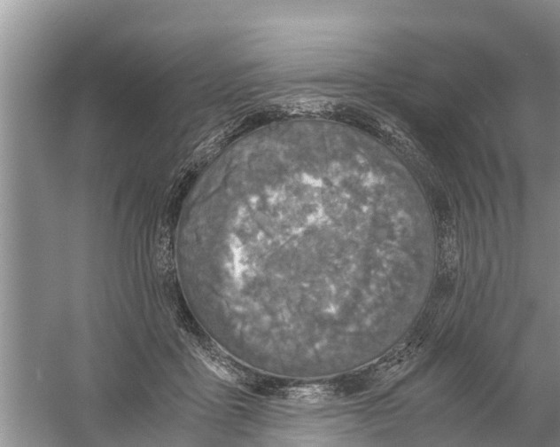 X0000058780411200510282016