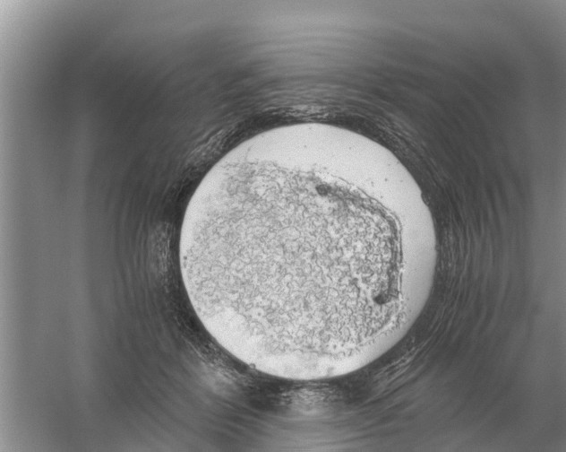 X0000058780412200510282016