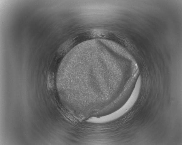 X0000058780413200510282016