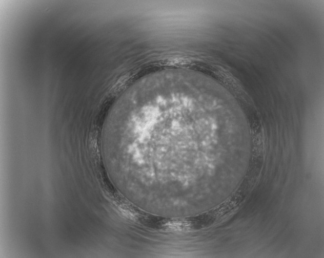 X0000058780415200510282016