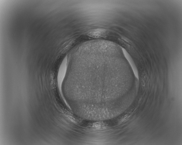 X0000058780420200510282016