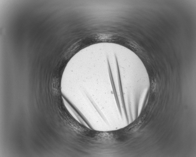 X0000058780421200510282016