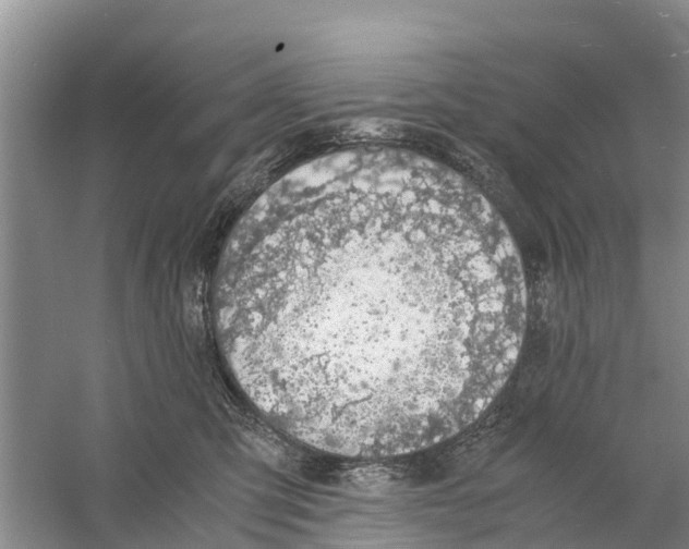 X0000058780423200510282016