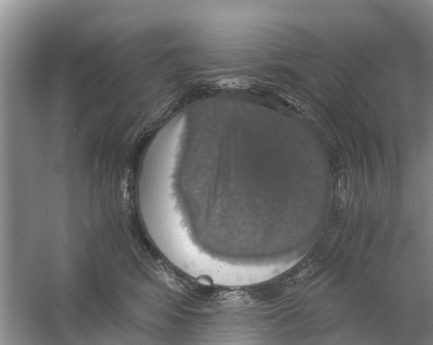 X0000058780424200510282016