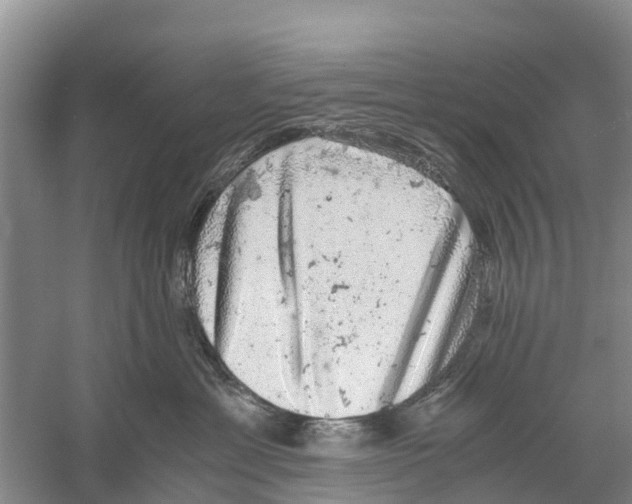 X0000058780429200510282016