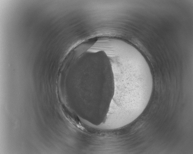 X0000058780434200510282015