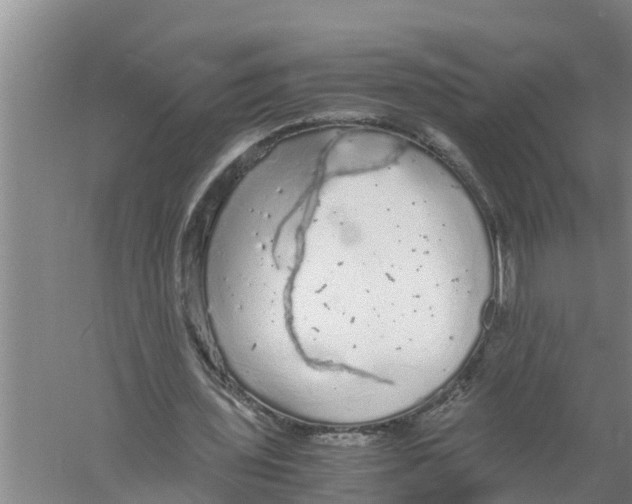 X0000058780435200510282015