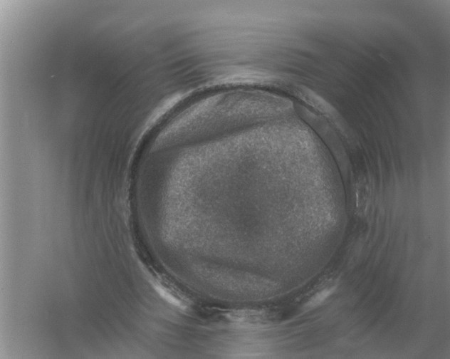 X0000058780436200510282015