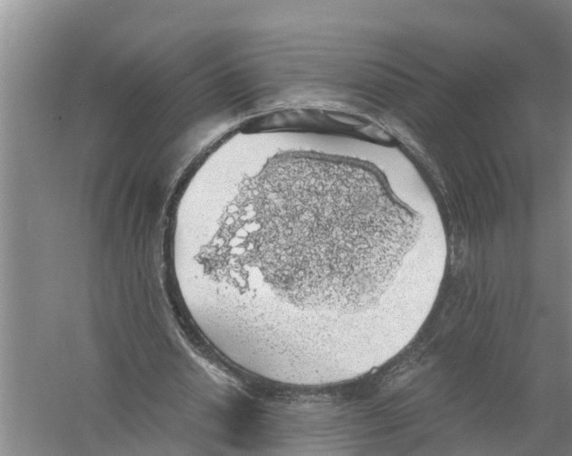 X0000058780438200510282015