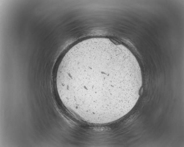 X0000058780439200510282015