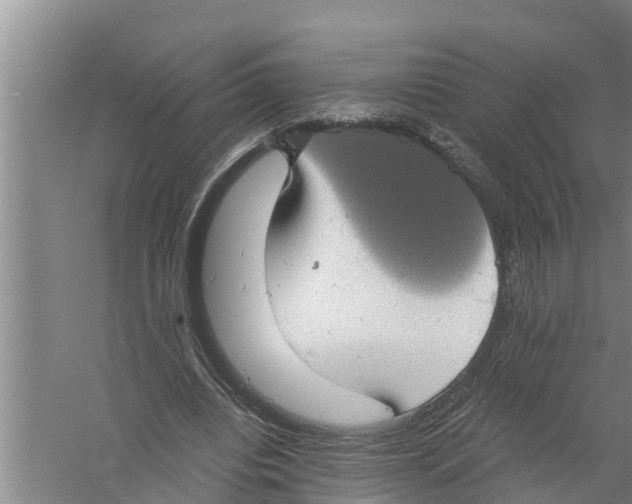 X0000058780440200510282015