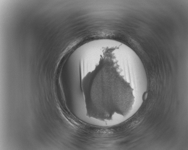 X0000058780443200510282015