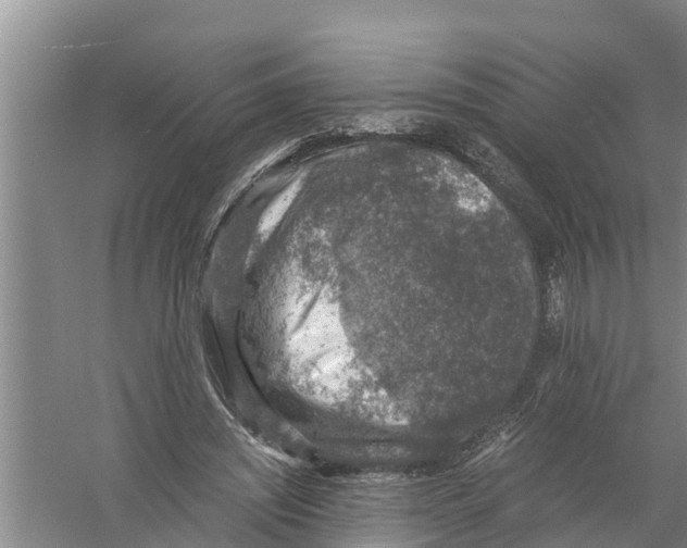 X0000058780444200510282015