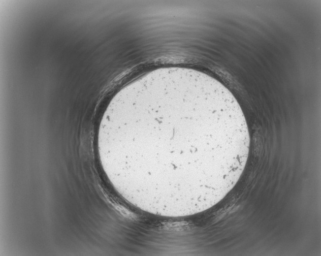 X0000058780446200510282015