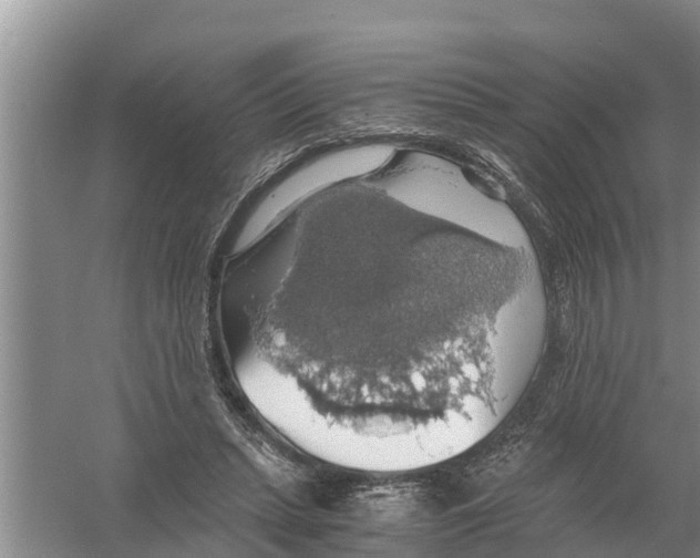 X0000058780447200510282015