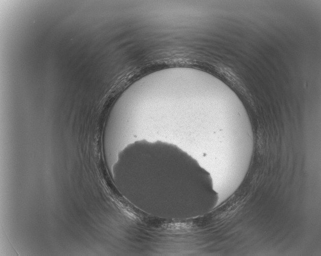 X0000058780449200510282015