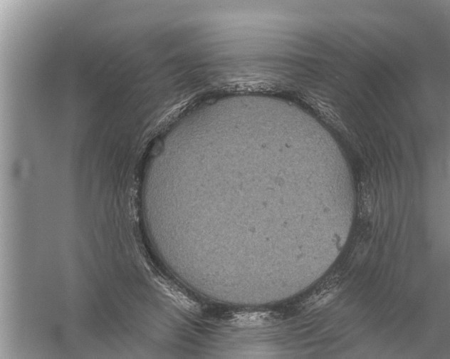 X0000058780450200510282015