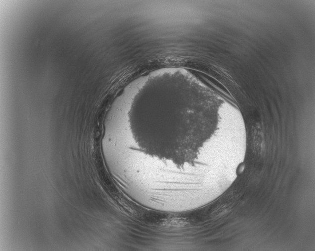 X0000058780451200510282015