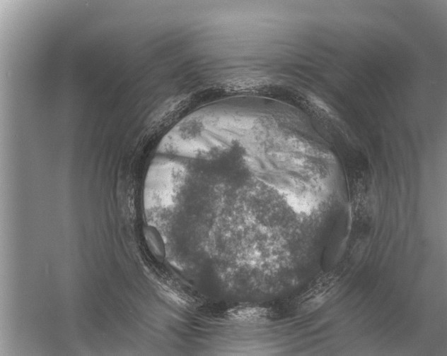 X0000058780452200510282015