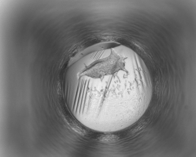 X0000058780459200510282015