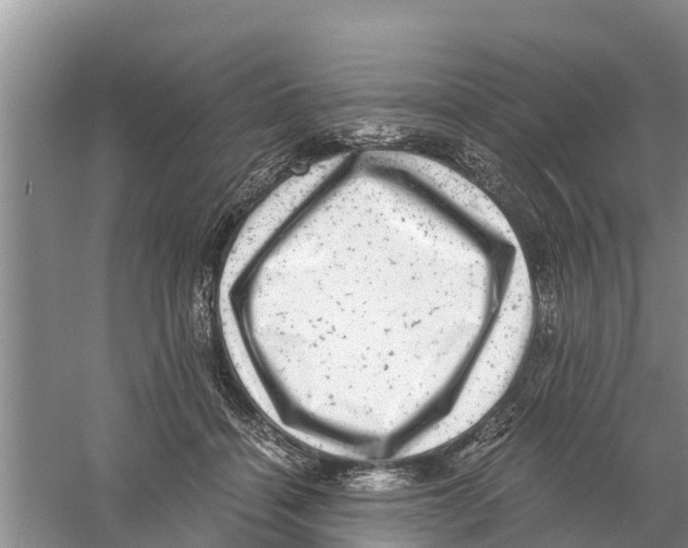 X0000058780460200510282015